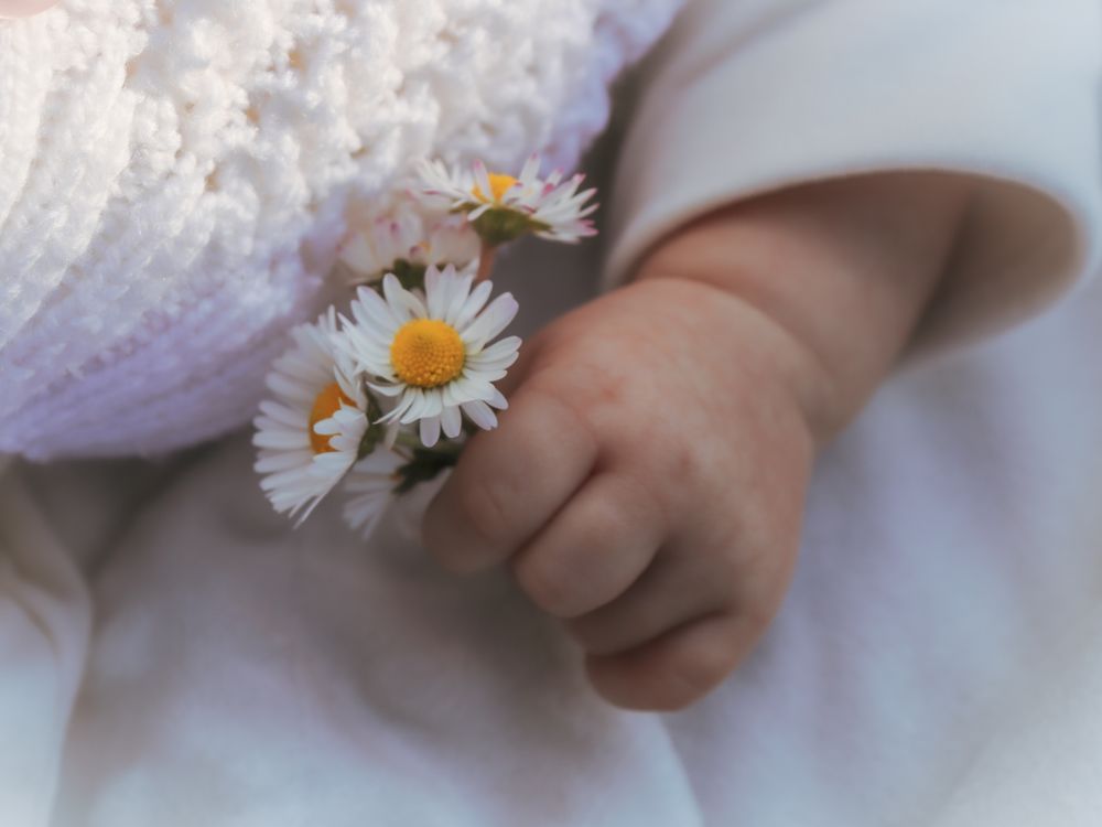 New Baby Flowers to Turkey: Customs, Hospital Delivery and What to Write