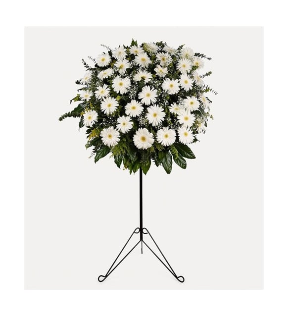 35 Gerberas Blancs et Eucalyptus, Composition Funéraire sur Pied, Trente-cinq gerberas blancs parmi l'eucalyptus et un feuillage vert foncé sur un fin pied en fer forgé noir de 98 cm, un hommage blanc et sobre pour des funérailles à Istanbul.