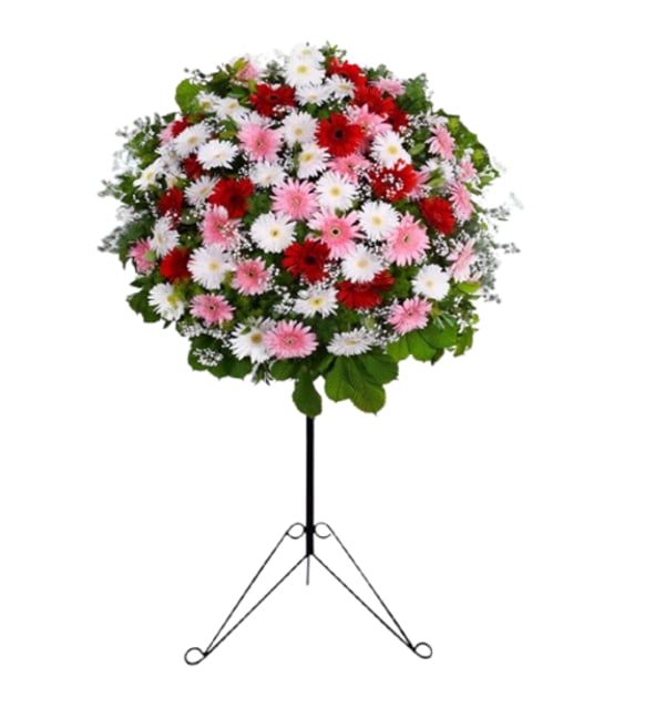 Trauergesteck auf Ständer mit Weißen, Roten und Rosa Gerbera, Fünfunddreißig Gerbera in Weiß, Rot und Rosa mit Schleierkraut auf einem schwarzen Ständer aus Schmiedeeisen, 98 cm hoch, ein wärmerer Gruß zur Beerdigung in Istanbul.