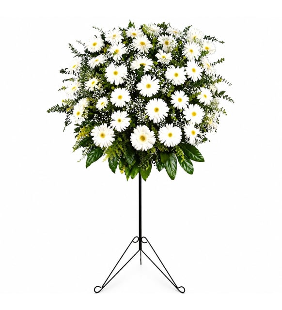 35 Gerberas Blancs et Gypsophile, Composition Funéraire sur Pied, Trente-cinq gerberas blancs avec un gypsophile léger, de la fougère et du solidago doré sur un pied en fer forgé noir de 98 cm, un hommage blanc et doux pour des funérailles à Istanbul.