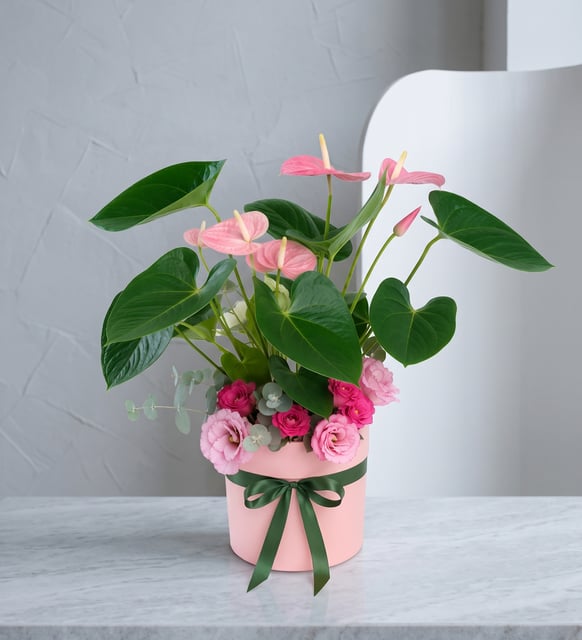 Rosa Anthurie und Lisianthus im rosa Topf, Eine rosa Anthurie mit Lisianthus und Gartenrosen in einem modernen rosa Polymertopf, weich im Ton und auf Dauer angelegt.